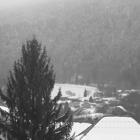 Accueil Savoyard Hotel