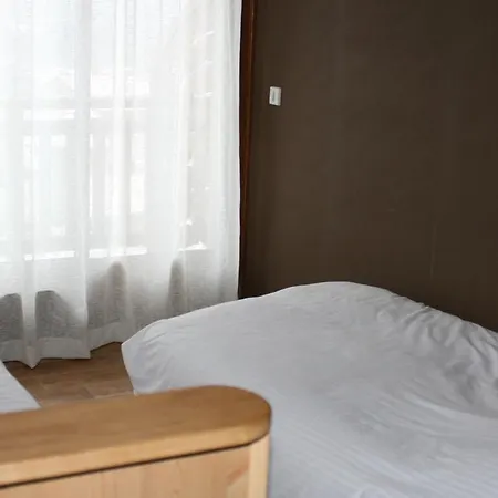 Accueil Savoyard 3*